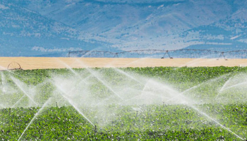 靖州建成高標準農田25萬余畝，農業綜合機械化水平達74%