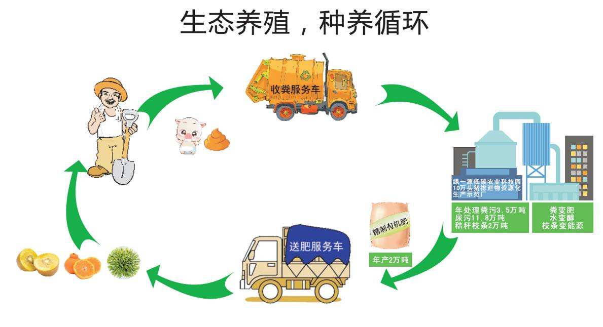 彌渡試點綠色種養循環農業助力鄉村振興
