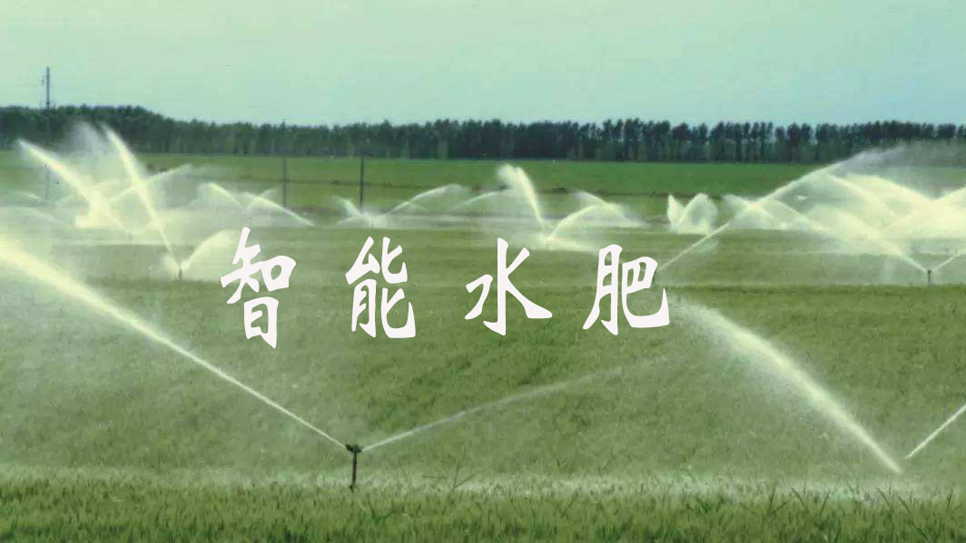 智能水肥系統(tǒng)備受青睞的原因