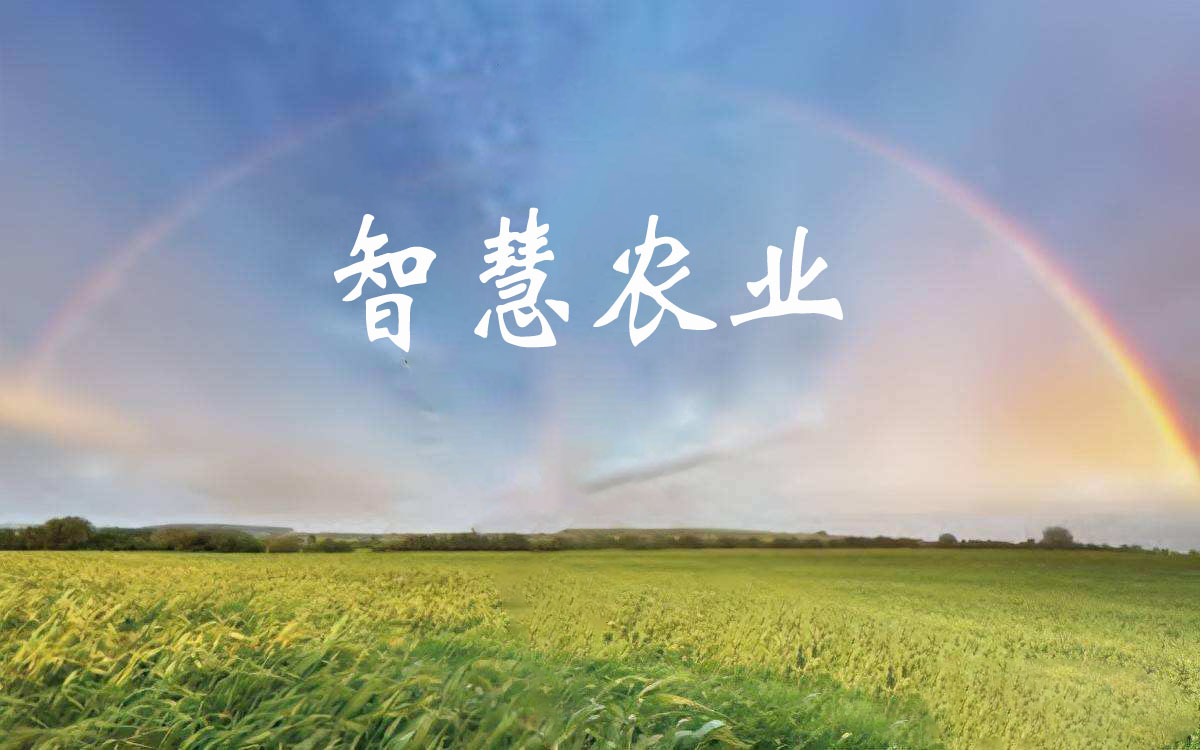 保山昌寧：智慧農業探出“智富”新路