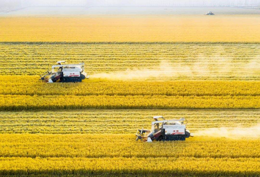 南京市科技創(chuàng)新驅(qū)動現(xiàn)代農(nóng)業(yè)高質(zhì)量發(fā)展