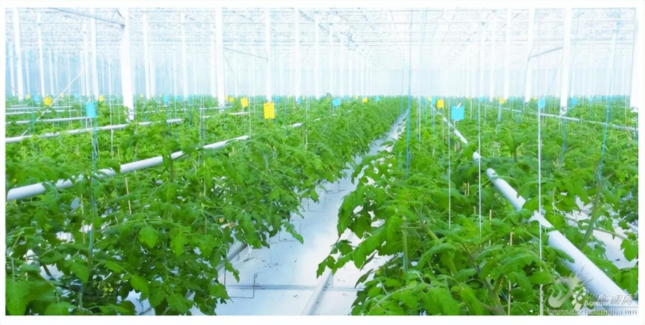 大數據為支撐的農業信息化服務