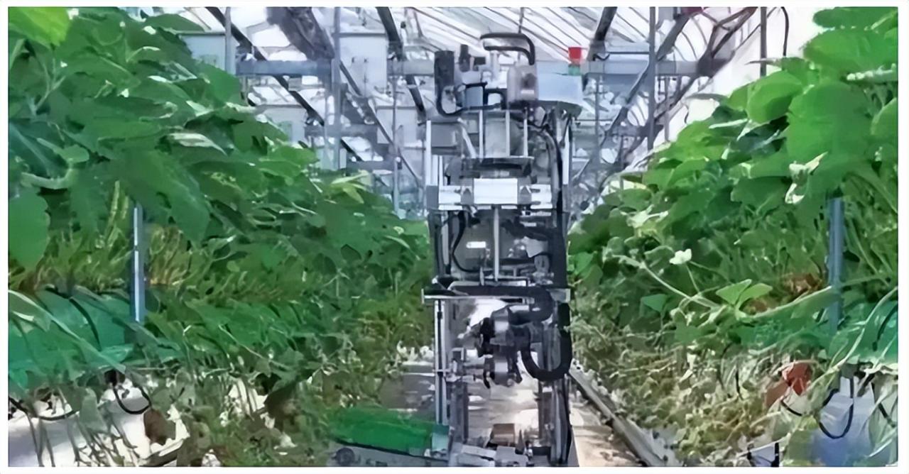 農業大數據的作用