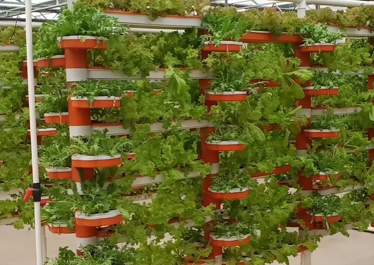 農業物聯網技術在現代農業中的應用越來越廣泛