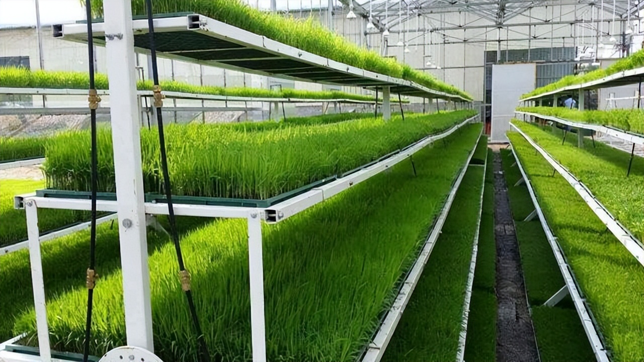 水肥一體化系統(tǒng)是農(nóng)業(yè)的一種設(shè)施，可幫助用戶實(shí)現(xiàn)水肥一體化智能化管理