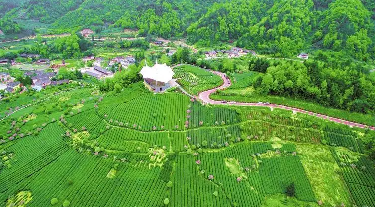 扛穩(wěn)“糧責(zé)”——把百姓的飯碗端穩(wěn)端好