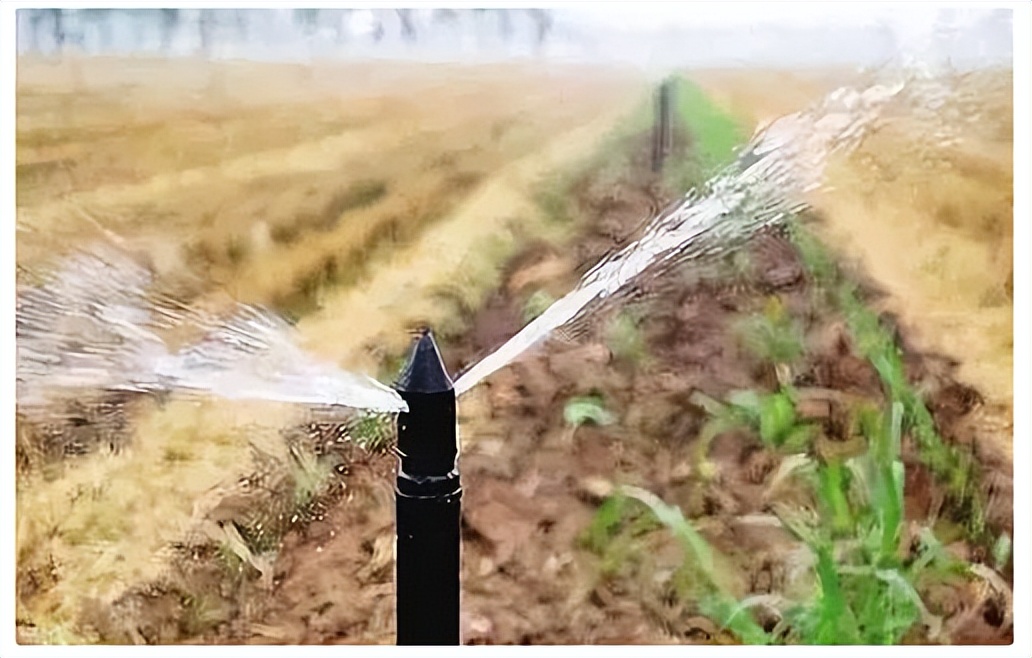 智慧農(nóng)業(yè)為糧食安全保駕護航