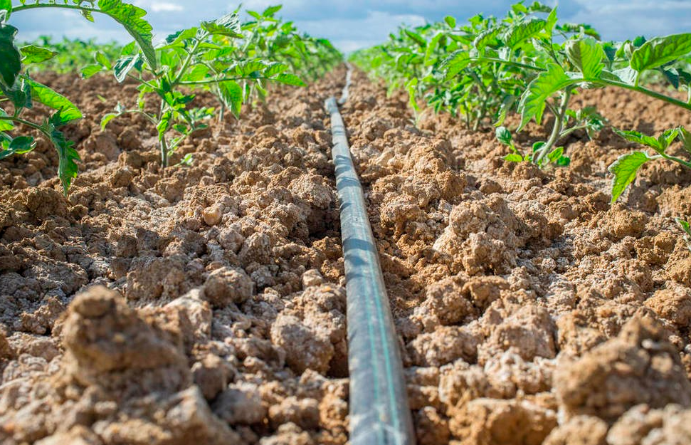 農業生產必須依托技術和手段來替代傳統的作業與運營模式