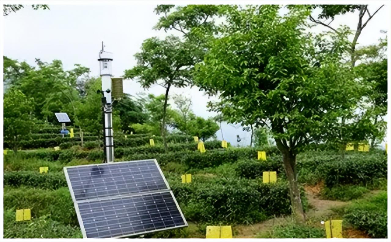 數字農業的特點是農業生產高度專業化、規模化、企業化