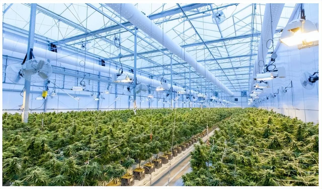 鄉村治理數字，全面提升數字鄉村發展水平