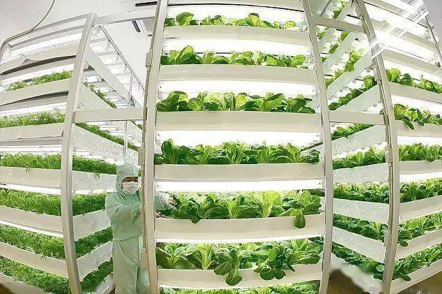 “白色農(nóng)業(yè)”在我國推行有特別重要的意義