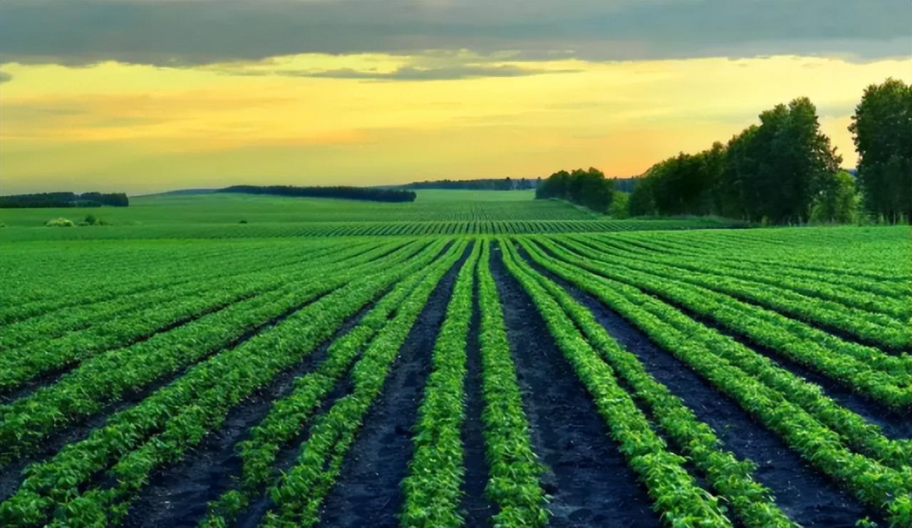 利用溫室遠程監控系統實現智能感知、智能預警、智能決策、智能分析