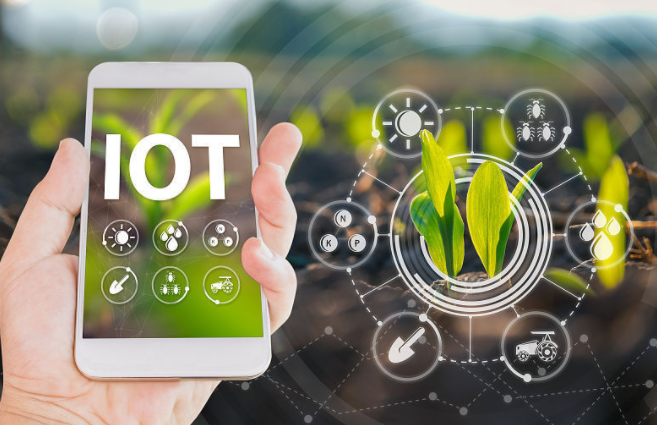 智慧農業:“雙碳”目標下的綠色生態