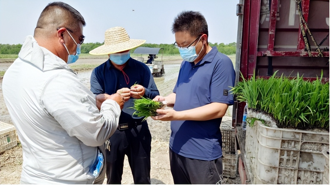 稻田蟹苗，展現代農業、休閑農業