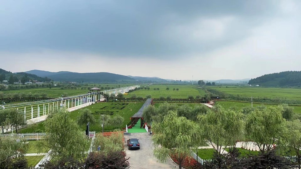 遼河源科學指導農民開展水稻田間管理、病蟲害防治等相關工作