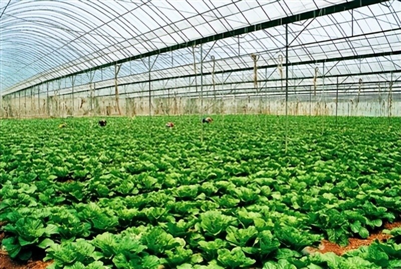 隨著溫室的增加，僅靠手工管理變得越來(lái)越困難。