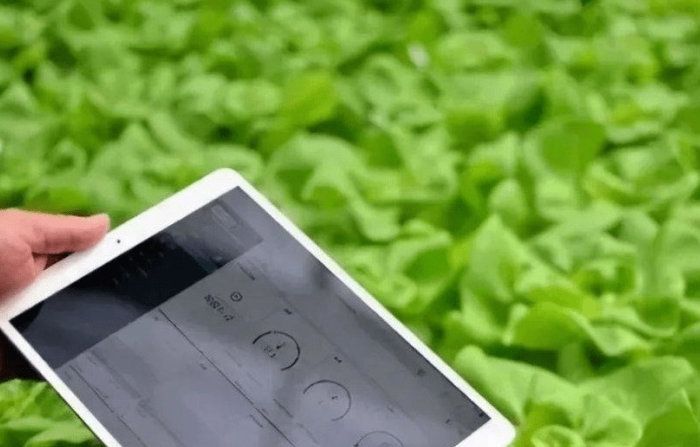 信息科技推動農業(yè)生產方式變革