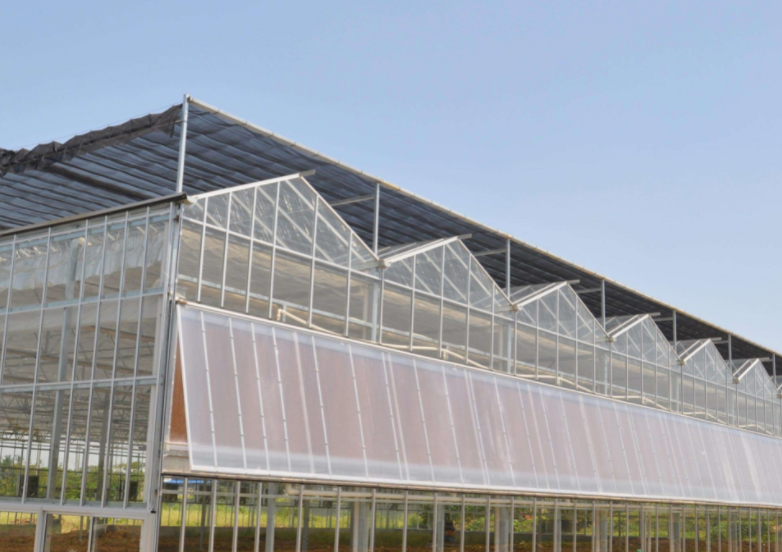 智能連棟玻璃溫室可以自動調節農作物生長環境