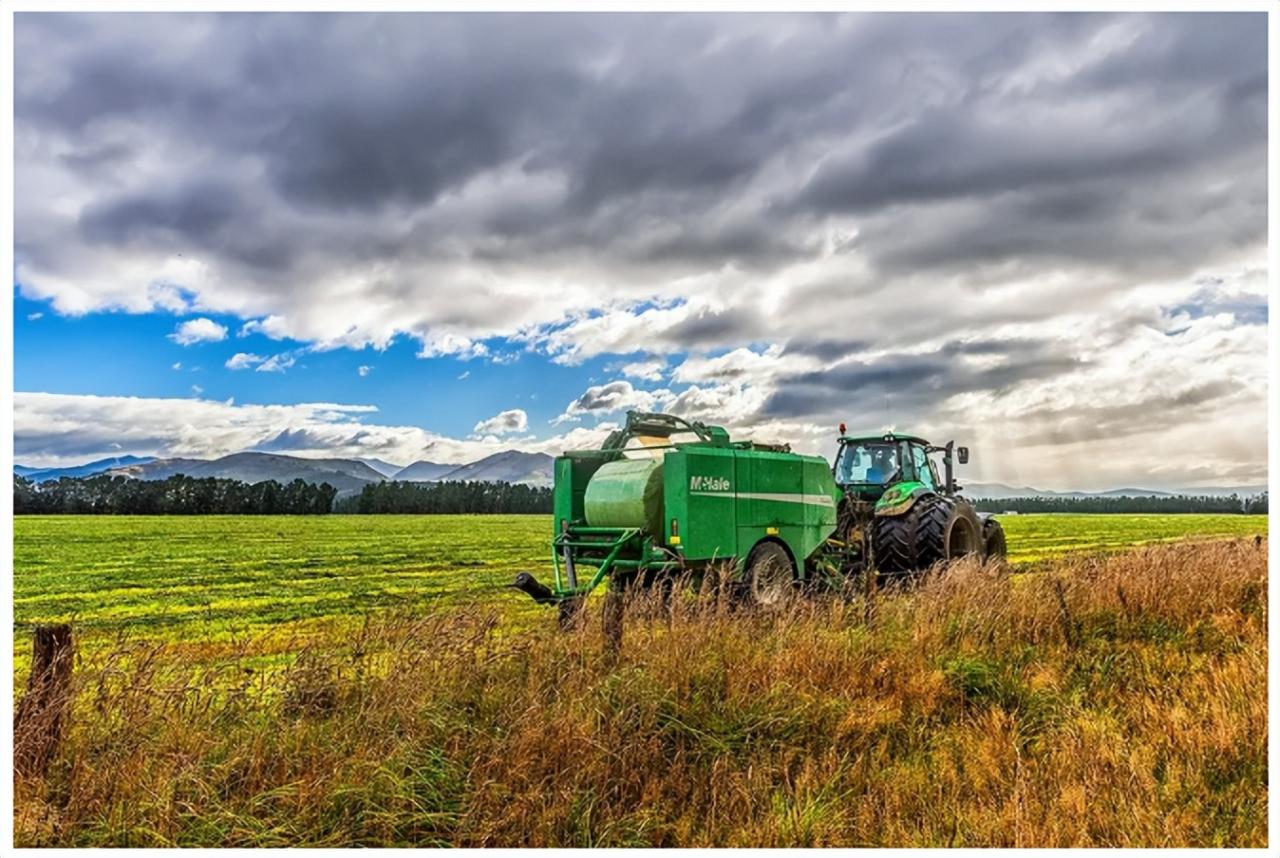 優化產業機構,發展新型鄉村農業生產模式