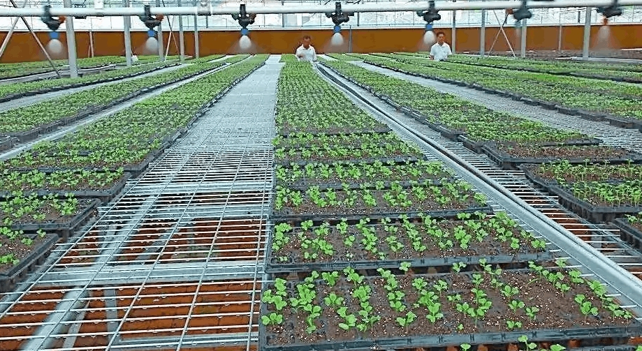 節(jié)約水資源,減少水資源浪費(fèi),智能灌溉系統(tǒng)應(yīng)時而生