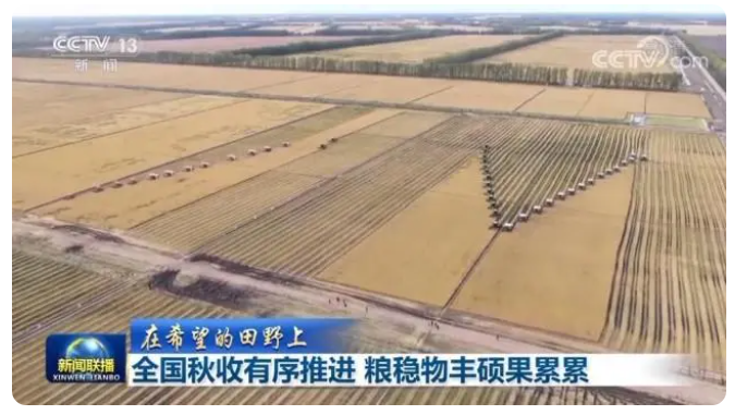 農(nóng)業(yè)資訊