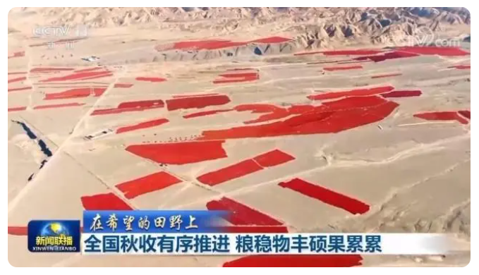 農(nóng)業(yè)豐收