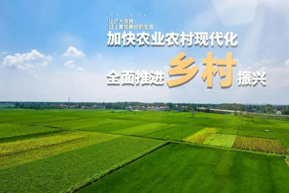 重慶“三變”改革激發(fā)鄉(xiāng)村活力