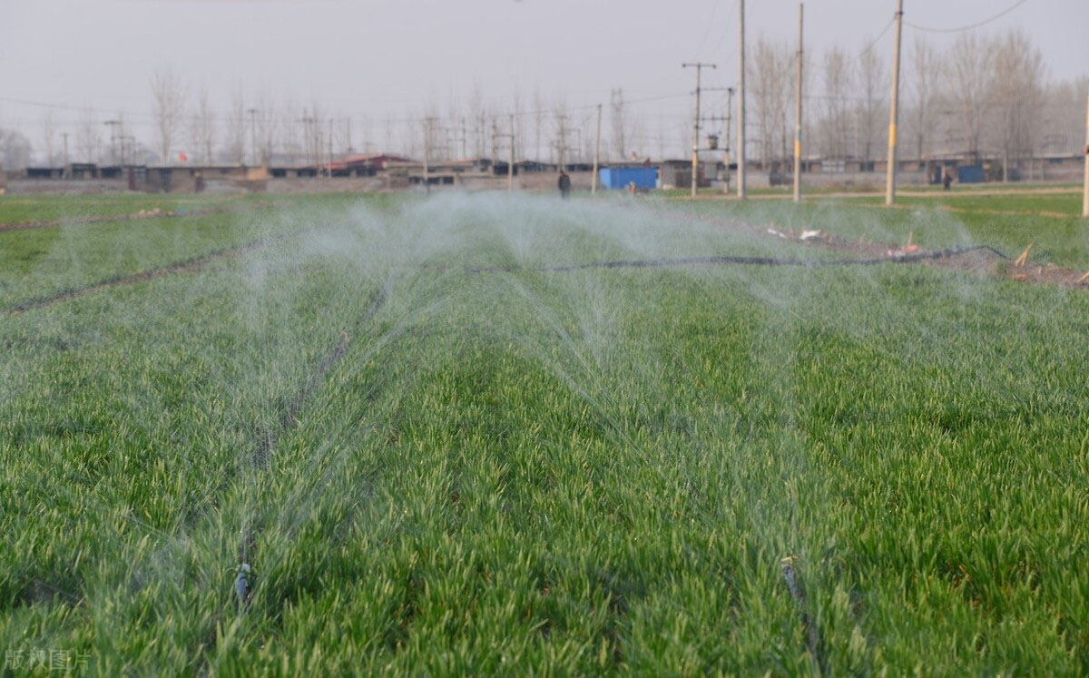 水肥一體化對農(nóng)業(yè)有什么用