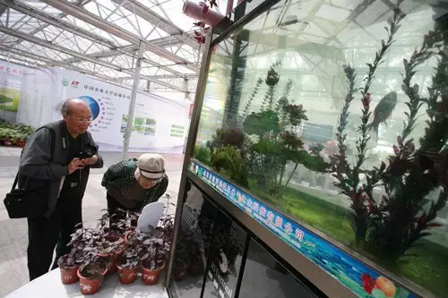 做農業,這幾種高效生態農業模式你必須知道