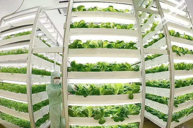 做農業,這幾種高效生態農業模式你必須知道