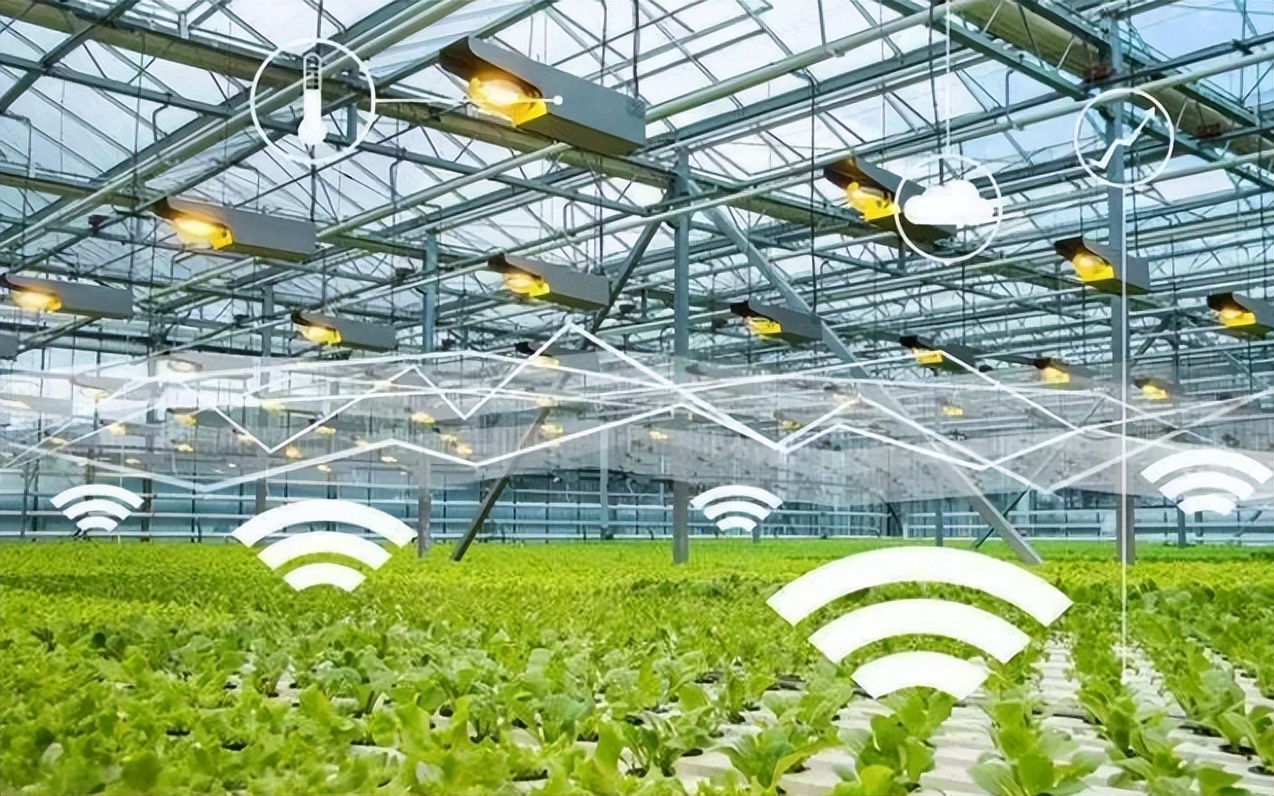 智能溫室,溫室大棚智能控制系統(tǒng)