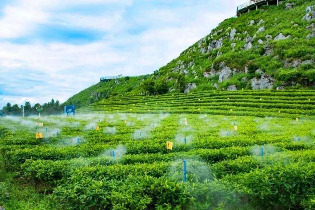 盤點:水肥一體化應用誤區