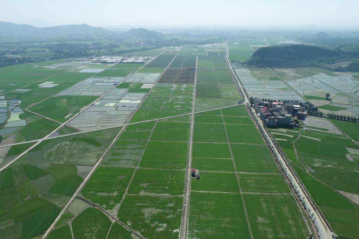 湖南高標準農田建設大旱之年見成效