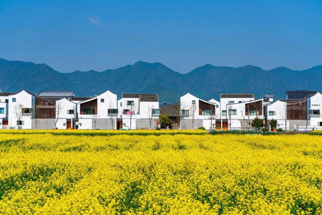 郴州市蘇仙區(qū)：“四好農村路” 幸福新坦途