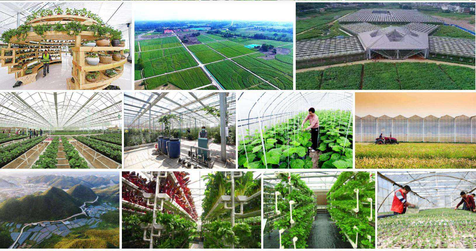 山東現代高效農業發展勢頭正勁 休閑農業等新業態競相涌現