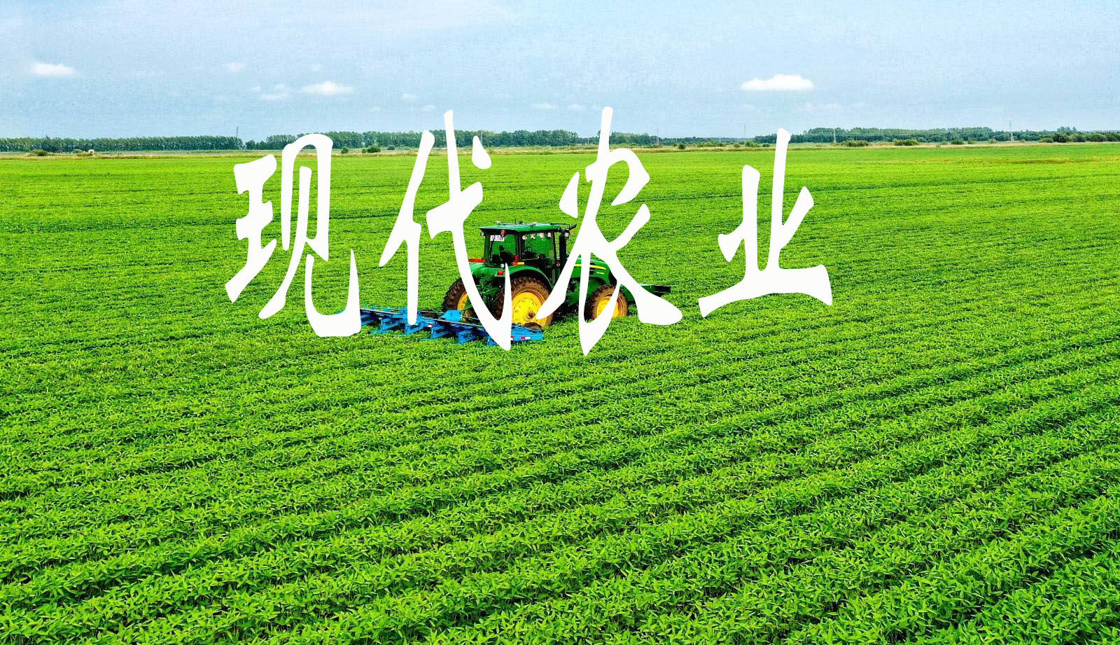 免耕播種 深松追肥 高效植保 長春市農(nóng)業(yè)機(jī)械化助推現(xiàn)代農(nóng)業(yè)高歌猛進(jìn)