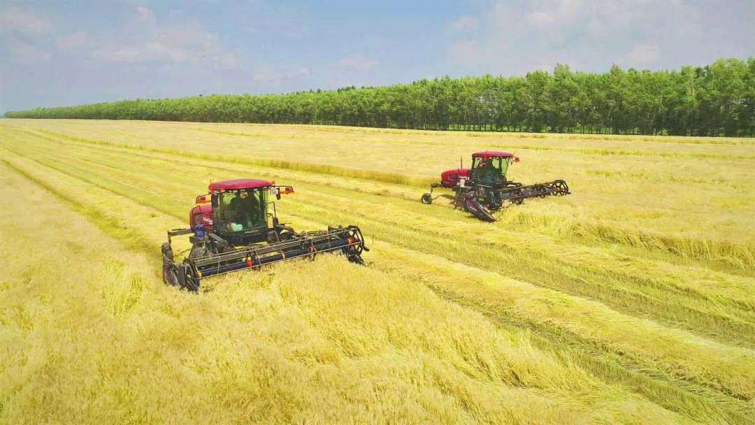 昆明：農業(yè)現代化之路越走越寬闊