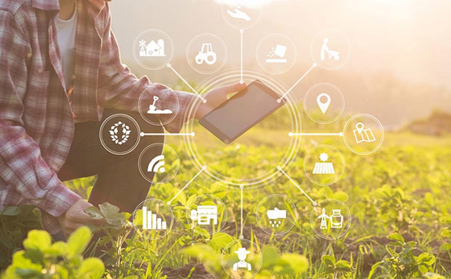 走在智慧農業(yè)前列