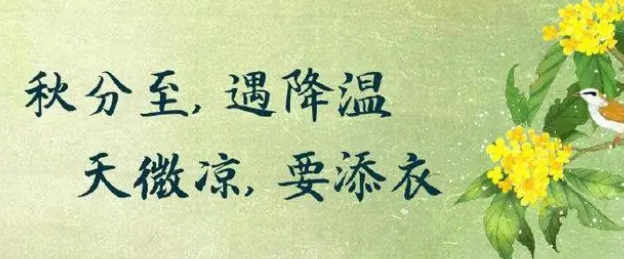 天氣轉冷,低溫冷害水稻種植