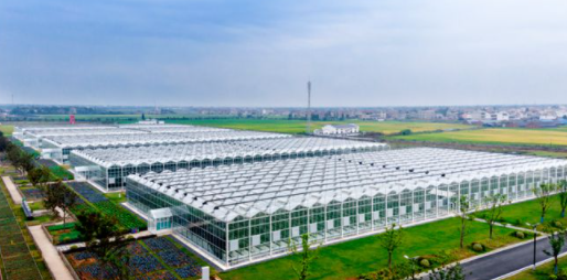 農業(yè)也能夠像工業(yè)一樣實現(xiàn)工廠化