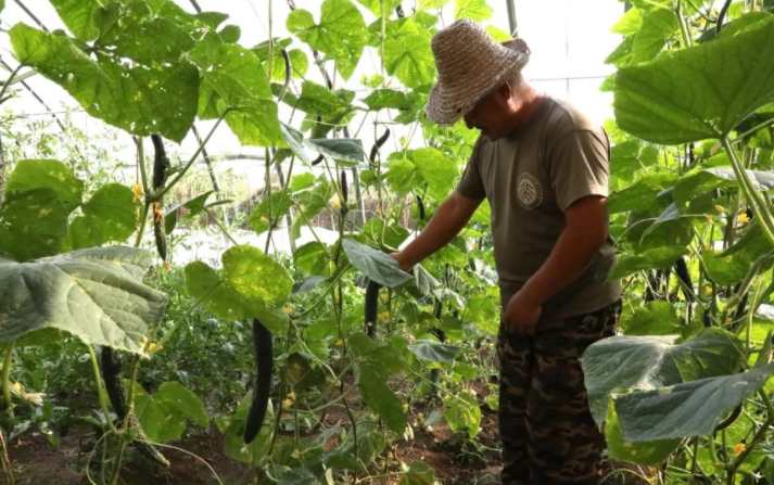 金秋九月，豐收在望