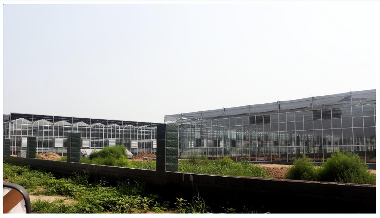 政府在智慧農業發展早期大大投入