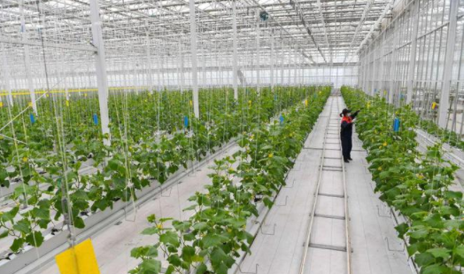 智慧農業-通過技術應用，使傳統農業更具有“智慧”