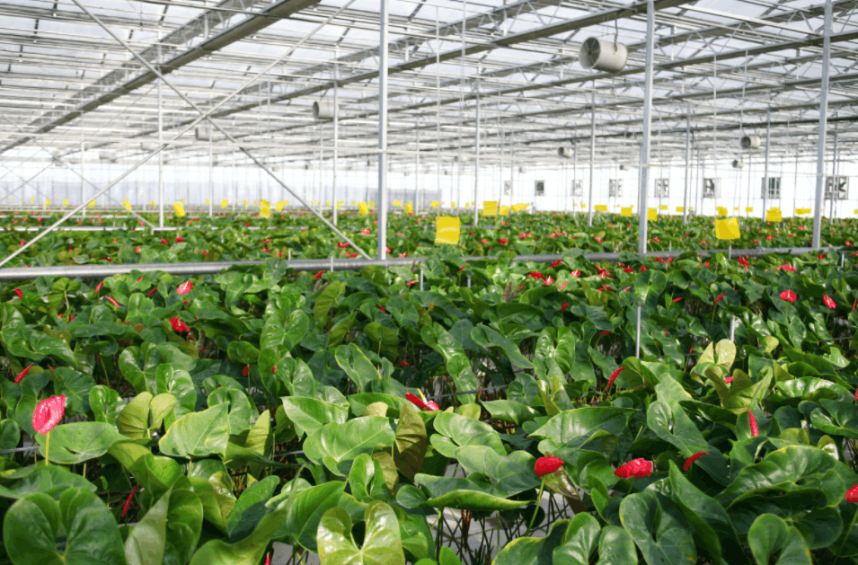 數字技術對農業的反哺應用