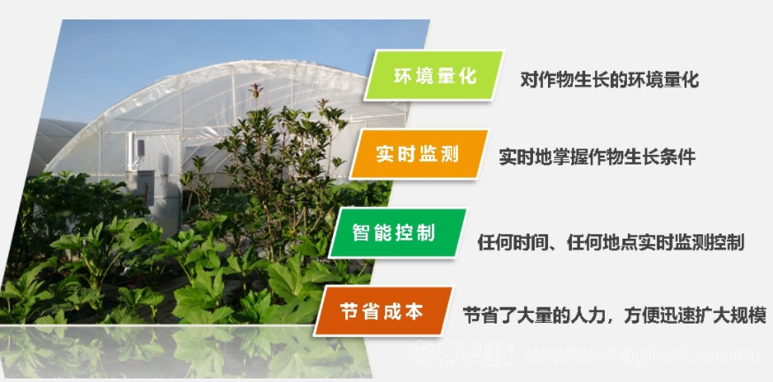 鄉(xiāng)村振興的總目標(biāo)是實(shí)現(xiàn)農(nóng)業(yè)農(nóng)村現(xiàn)代化