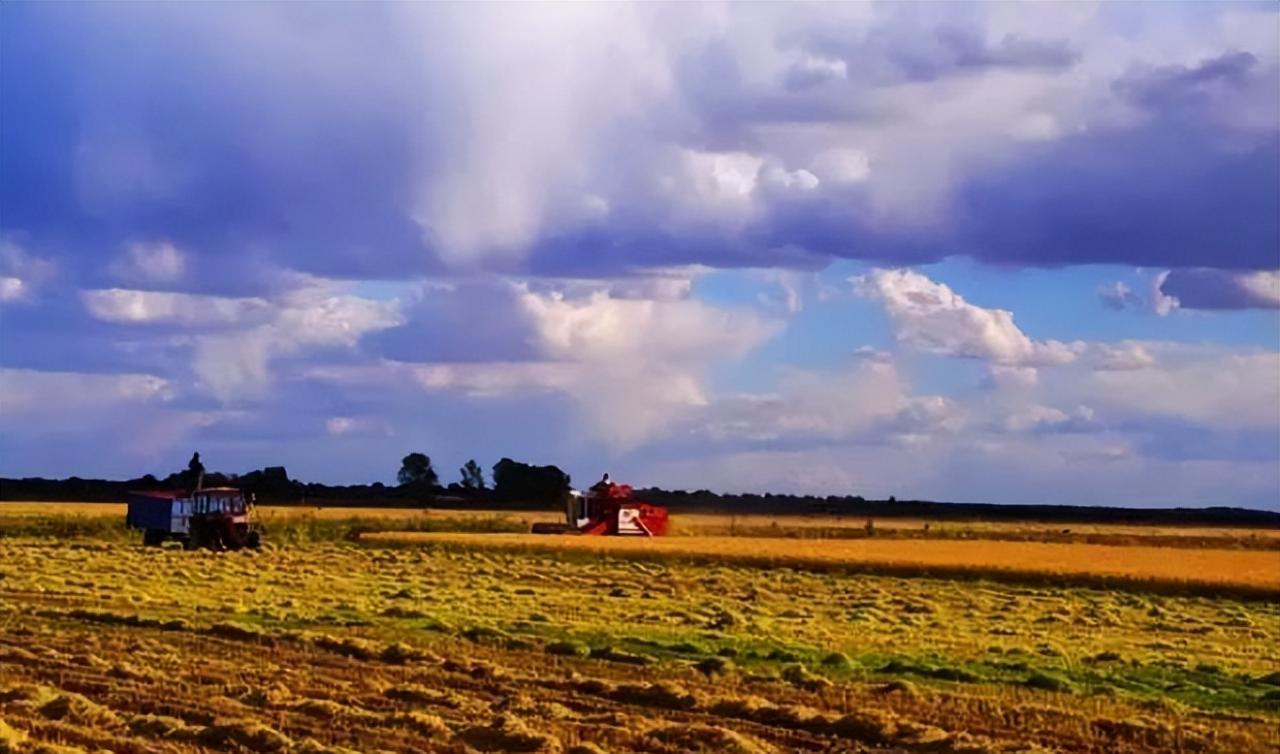 全球農(nóng)業(yè)都面臨著大農(nóng)場(chǎng)與小農(nóng)戶的矛盾