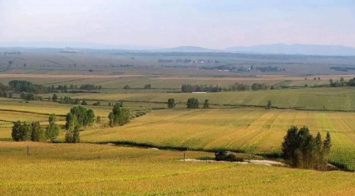 我們國家是大國小農,小農戶數量占農業經營主體98%
