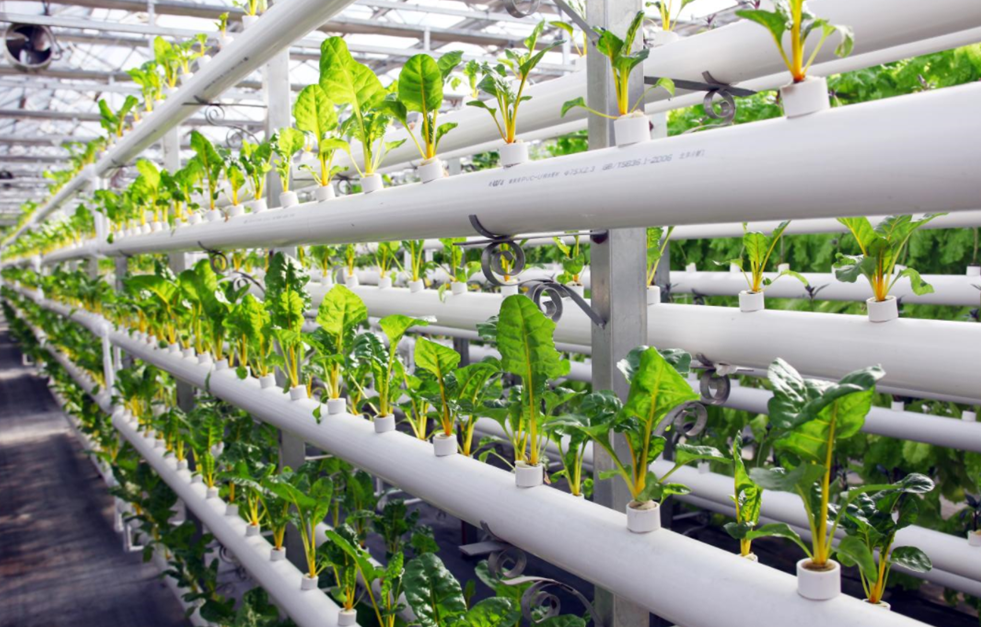 推進(jìn)智能農(nóng)機(jī)應(yīng)用，升級改造農(nóng)機(jī)裝備，促進(jìn)農(nóng)產(chǎn)品加工智能轉(zhuǎn)型