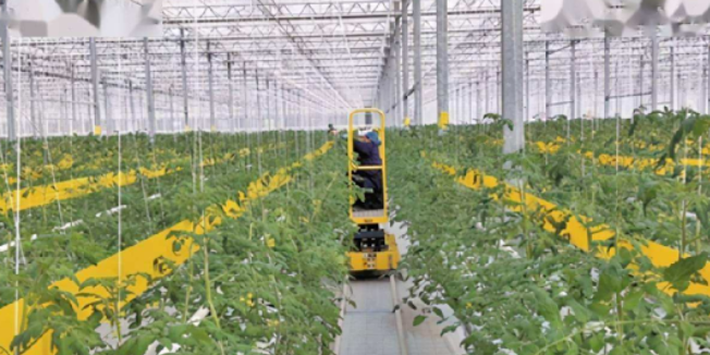 發(fā)揮數(shù)字技術(shù)的作用,能夠提升農(nóng)業(yè)發(fā)展的效能,也能夠提升農(nóng)業(yè)創(chuàng)新探索的能力。