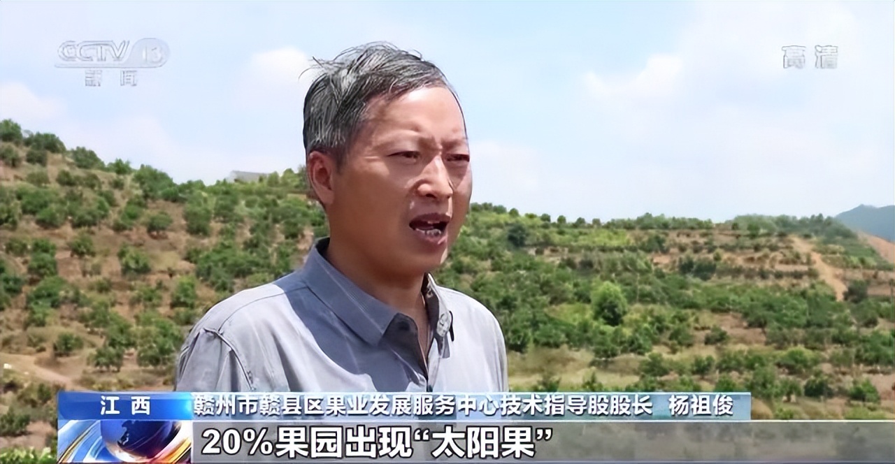 贛州市贛縣區果業發展服務中心技術指導股股長 楊祖俊